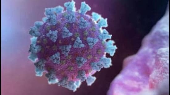 Now, Chandigarh has 13 Covid infected patients, Mohali 15 and Panchkula five. (HT File/Representational image)