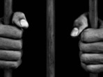 The seized contraband is estimated to be over <span class='webrupee'>₹</span>60 crore in the international market. (Getty Images/Vetta) The seized contraband is estimated to be over <span class='webrupee'>₹</span>60 crore in the international market. (Getty Images/Vetta)