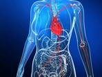 Doctor reveals why heart attacks are commonly seen in women Doctor reveals why heart attacks are commonly seen in women 