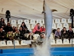 Ukrainian families, who have fled Kherson amid the Russian invasion, watch a dolphin show at a hotel, in Odesa, Ukraine.