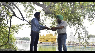 Centuries-old ‘beris’ at Golden Temple bear record fruit (HT) Centuries-old ‘beris’ at Golden Temple bear record fruit (HT)