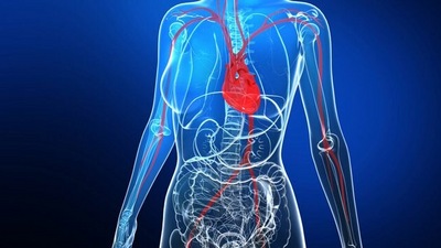 Doctor reveals why heart attacks are commonly seen in women (Twitter/DrImranSheikh) Doctor reveals why heart attacks are commonly seen in women (Twitter/DrImranSheikh)