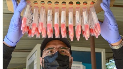 A health worker with swab samples collected for Covid-19 test, in Gurugram. (PTI)