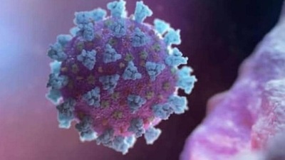The officials said that the school in Indirapuram reported two children infected while three were reported from the school in Vaishali. (HT File/Representational image) The officials said that the school in Indirapuram reported two children infected while three were reported from the school in Vaishali. (HT File/Representational image)