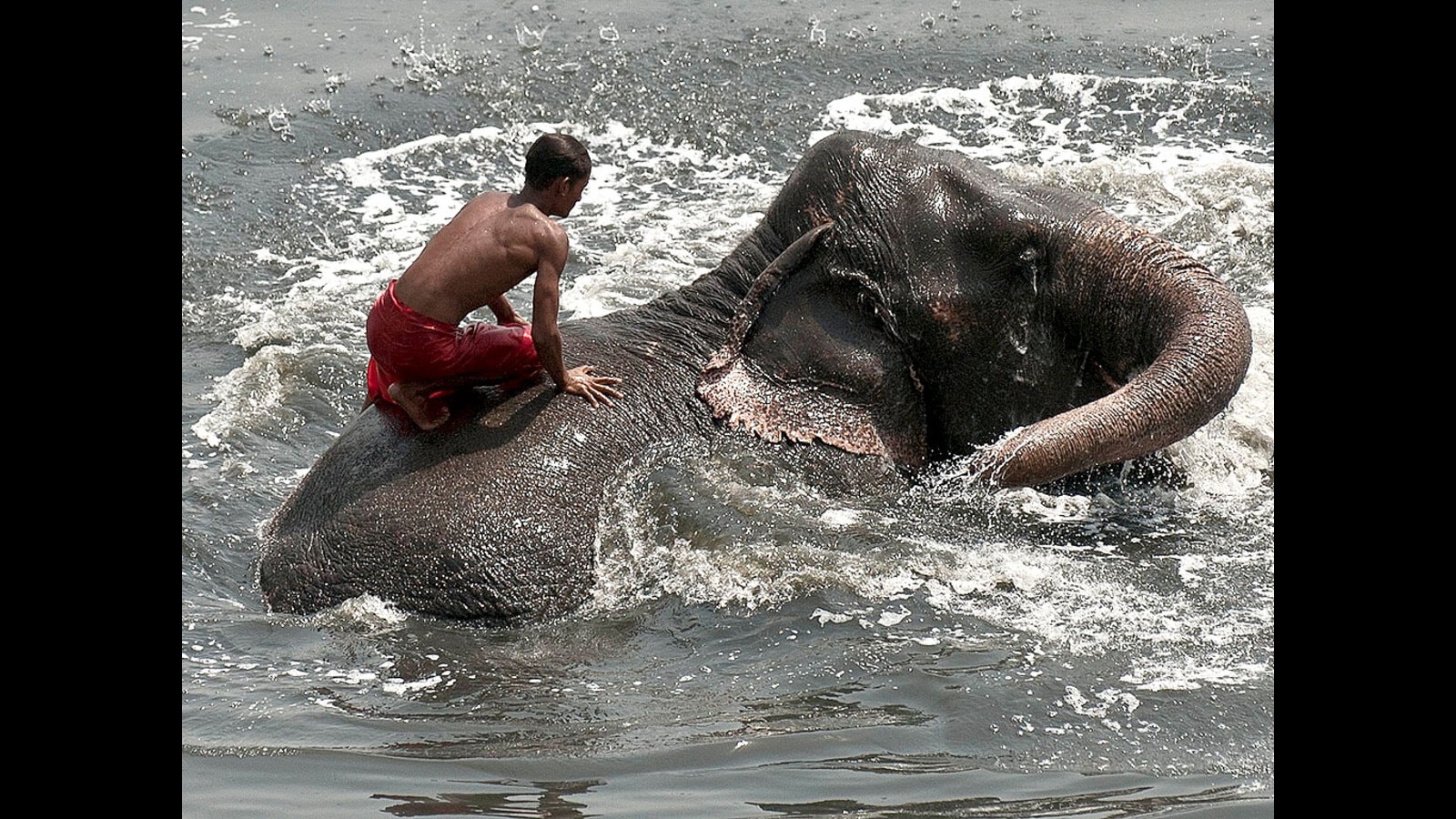 Tackling extreme heat risks in India