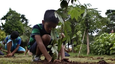 A boy planting a sapling. (Representative Image) (Hindustan Times)