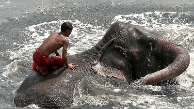 Representational image.