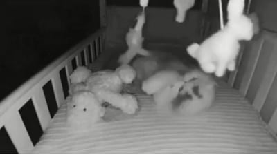 The image, taken from the Reddit video, shows the cat lying in a baby's crib and playing with hanging toys. (Reddit/@vladgrinch)
