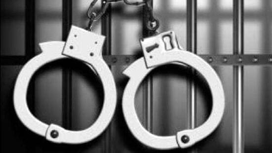 Police arrested a contractual PRTC driver for possessing 5kg poppy husk. (HT File)