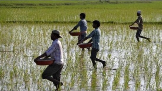 Of the 2.60 crore Uttar Pradesh farmers, only 30 lakh have completed formalities till now. (HT File Photo)
