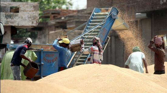 The Punjab food and civil supplies department is expecting the total purchase by private traders to touch 10 lakh tonnes by the end of this rabi season. (Sanjeev Kumar/HT)