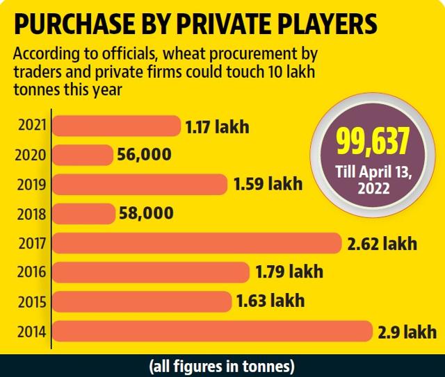Private wheat purchase surges to one lakh tonnes in Punjab Private wheat purchase surges to one lakh tonnes in Punjab