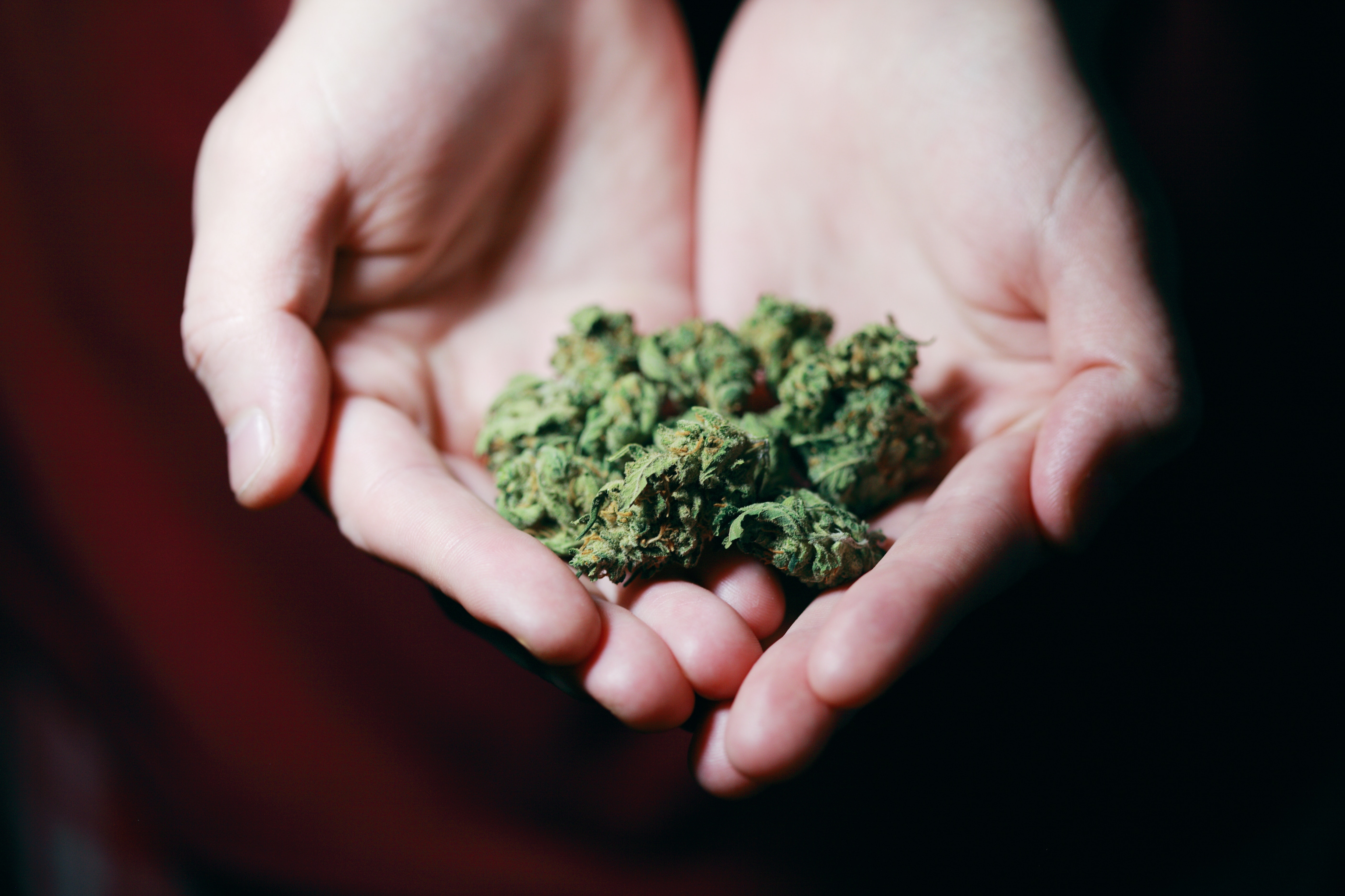 Two persons have been arrested in Bengaluru after being caught red-handed trying to peddle drugs. (Pexels Image) Two persons have been arrested in Bengaluru after being caught red-handed trying to peddle drugs. (Pexels Image)