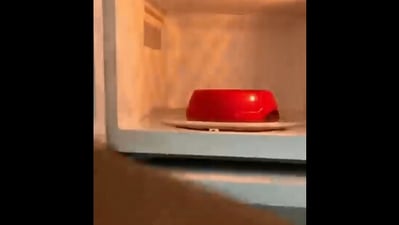 The image, taken from the Reddit video, shows the human pretending to microwave the food of their dog. (Reddit/@TXVERAS)