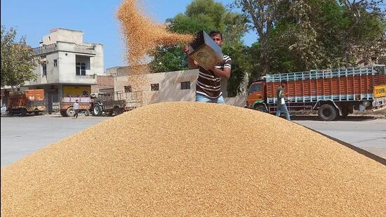 The rabi marketing season had started on April 1, with mandis and purchase centres set up across Punjab. (HT Photo)