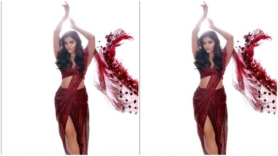 Rubina played muse to fashion designer Dimple Shroff and picked a red co-ord set for the pictures.(Instagram/@rubinadilaik)