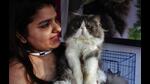 Navi Mumbai Municipal Corporation will soon include stray cats for sterilisation and vaccination programme. It will work out a system wherein animal lovers can take the cats and get them sterilised. (For representational purposes only) (PRAFUL GANGURDE/HT PHOTO) Navi Mumbai Municipal Corporation will soon include stray cats for sterilisation and vaccination programme. It will work out a system wherein animal lovers can take the cats and get them sterilised. (For representational purposes only) (PRAFUL GANGURDE/HT PHOTO)