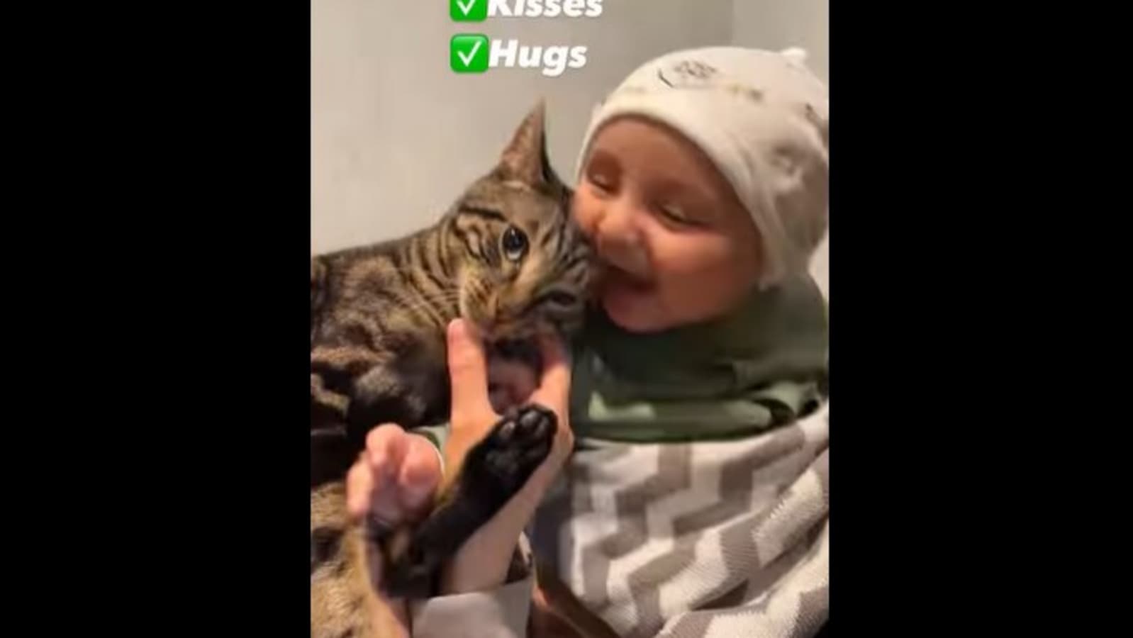 Cute baby meets three cats for the first time, their reactions are ...
