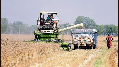 Punjab government to transfer over Rs. 2,000 crores to farmers (HT) Punjab government to transfer over Rs. 2,000 crores to farmers (HT)