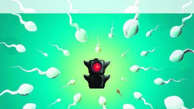 The male contraceptive pill awaits a green light (Hexcode) The male contraceptive pill awaits a green light (Hexcode)