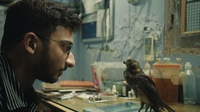 A still from All That Breathes. A still from All That Breathes.