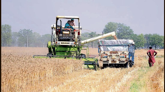 Punjab government to transfer over Rs. 2,000 crores to farmers (HT)