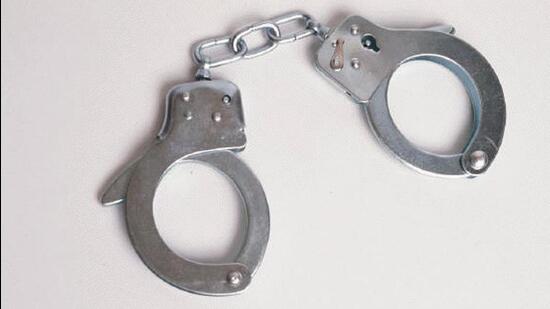 Mohali police arrested the drivers of the two cars from which 29 liquor bottles were recovered. (HT File)
