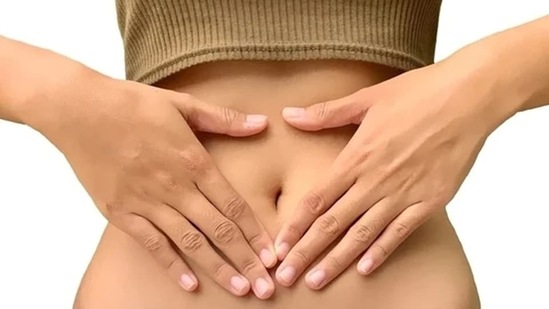 Gut microbiota regulates abdominal functions, finds study(Pixabay)