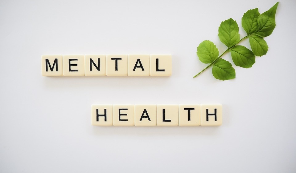 Many factors contribute to mental health, including genes or brain chemistry, trauma, and even a family history of mental health problems. (Pixabay)