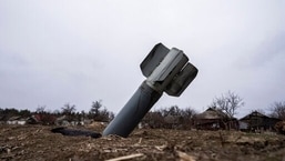 Gambar untuk representasi.  (Foto AP/Evgeniy Maloletka)