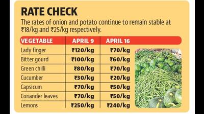Even though fuel prices continue to remain high, there was no fresh rate revision last week due to which the rates of vegetables did not see a change, said officials. (HT Photo) Even though fuel prices continue to remain high, there was no fresh rate revision last week due to which the rates of vegetables did not see a change, said officials. (HT Photo)