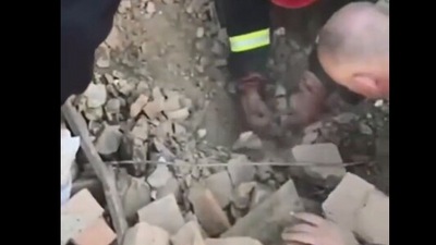 The image, taken from the viral Twitter video, shows the puppy being rescued. (Twitter/@Gerashchenko_en)