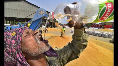 Hot weather conditions persisted in most parts of Punjab and Haryana on Saturday.