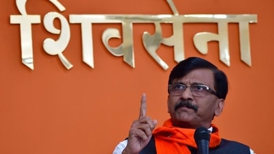 Shiv Sena leader Sanjay Raut.&nbsp; (HT file )