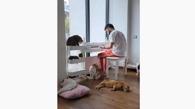 The image, taken from the Instagram video, shows the cat listening to their human playing piano. (YouTube/sarper duman)