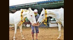 Animal Rahat, a non-profit organisation has rescued two inseparable, severely abused horses and named them after the newlyweds, Alia Bhatt and Ranbir Kapoor as a wedding gift. Animal Rahat, a non-profit organisation has rescued two inseparable, severely abused horses and named them after the newlyweds, Alia Bhatt and Ranbir Kapoor as a wedding gift.