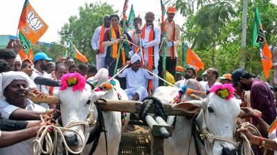 BJP Telangana president Bandi Sanjay Kumar riding a bullock cart during his Praja Sangrama Yatra, in Gadwal on Monday. (ANI) BJP Telangana president Bandi Sanjay Kumar riding a bullock cart during his Praja Sangrama Yatra, in Gadwal on Monday. (ANI)