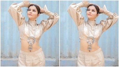 In a statement neck piece decorated in silver, gold and white stones from the shelves of Muskaan designer Jewellery, Rubina accessorised her look and added more festive vibes to the pictures. (Instagram/@rubinadilaik)