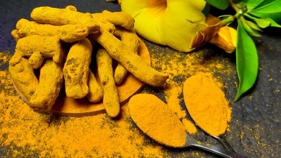 According to a new study by the University of California, a compound found in turmeric called Curcumin helps grow engineered blood vessels and tissues. (Unsplash) According to a new study by the University of California, a compound found in turmeric called Curcumin helps grow engineered blood vessels and tissues. (Unsplash)
