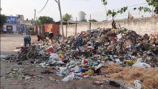 At least 150 tonnes of garbage is generated in the city on a daily basis and can be seen dumped at different locations, including the site near the cremation ground, and behind the Khanna police station. (HT PHOTO)