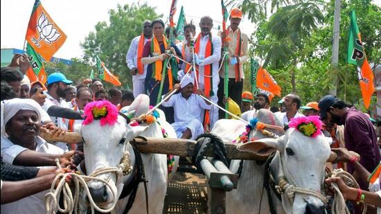 BJP Telangana president Bandi Sanjay Kumar riding a bullock cart during his Praja Sangrama Yatra, in Gadwal on Monday. (ANI)