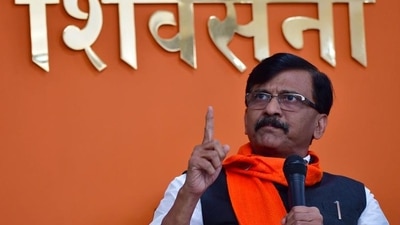 Shiv Sena leader Sanjay Raut.&nbsp; (HT file )