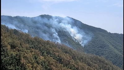 Smoke billows from a forest a part of which caught fire near Tara Devi in Shimla on Tuesday. (HT Photo) Smoke billows from a forest a part of which caught fire near Tara Devi in Shimla on Tuesday. (HT Photo)