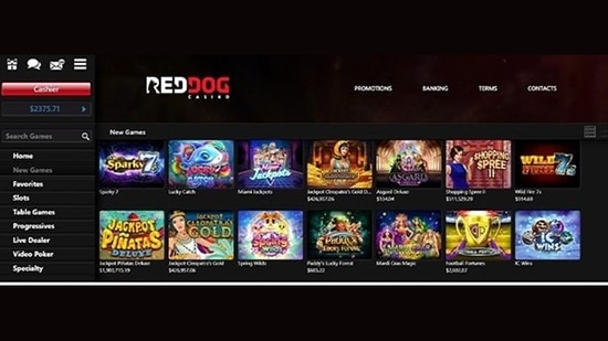 Red Dog Casino