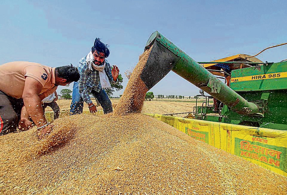 How climate-resilient is Indian agriculture?(PTI)