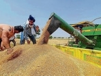 How climate-resilient is Indian agriculture?