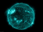 The image is taken from the solar flare video posted by CESSI.(Twitter/@cessi_iiserkol)