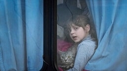 An Internally displaced child holding a pet cat looks out from a bus at a refugee center in Zaporizhia, Ukraine. (File image)