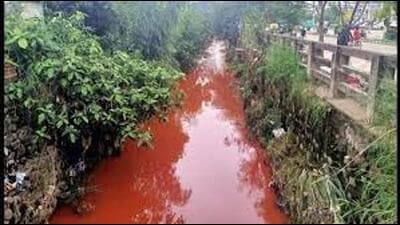 Last month, the PPCB had received a complaint from villagers saying that a coloured effluent was being discharged into the drain, following which a team visited the plant in Dera Bassi’s Mohali district and found that effluent, which had a reddish tinge to it, was stagnating on the premises of the plant. (Representative Image/HT File) Last month, the PPCB had received a complaint from villagers saying that a coloured effluent was being discharged into the drain, following which a team visited the plant in Dera Bassi’s Mohali district and found that effluent, which had a reddish tinge to it, was stagnating on the premises of the plant. (Representative Image/HT File)