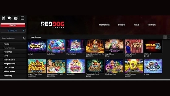 The Best Online Casinos in the World Ranked by Real Money Games, Fairness  & More - Hindustan Times